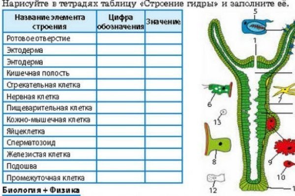 Кракен даркнет маркетплейс vtor run