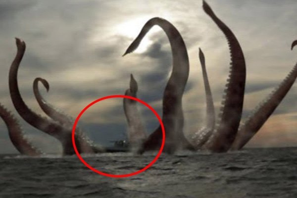 Kraken зеркало даркнет